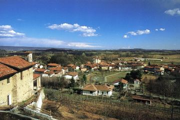 Sfoglia la galleria